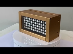 সিটি লেডভ