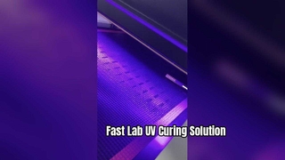 ল্যাব দক্ষতার জন্য ডেস্কটপ UV LED পরিবাহক নিরাময় সিস্টেম