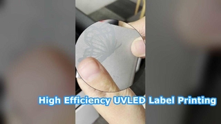 লেবেল মুদ্রণের জন্য উচ্চ দক্ষতা LED UV নিরাময় ল্যাম্প সিস্টেম