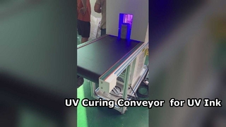 UV কালি নিরাময়ের জন্য UV নিরাময় পরিবাহক ড্রায়ার