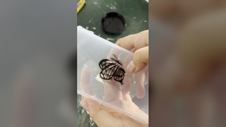 UV LED নিরাময় সিস্টেম দ্রুত কালি শুকানোর